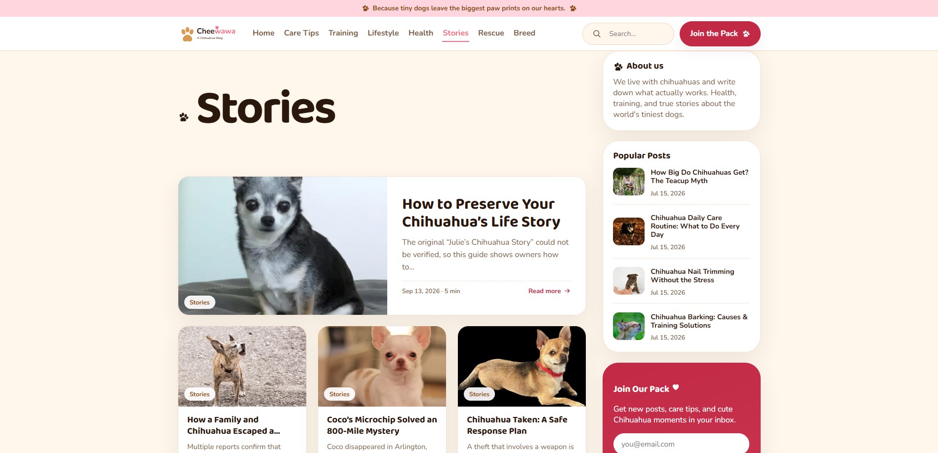 Chihua Corner