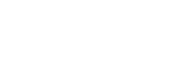 Publico