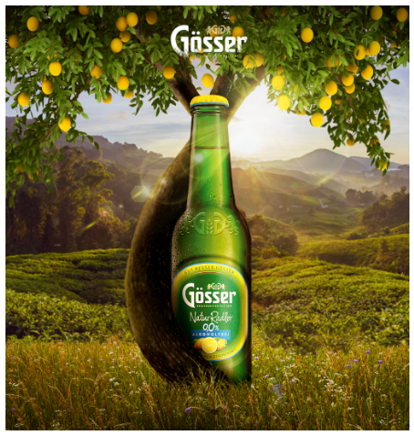 Rukolli Distribution case study