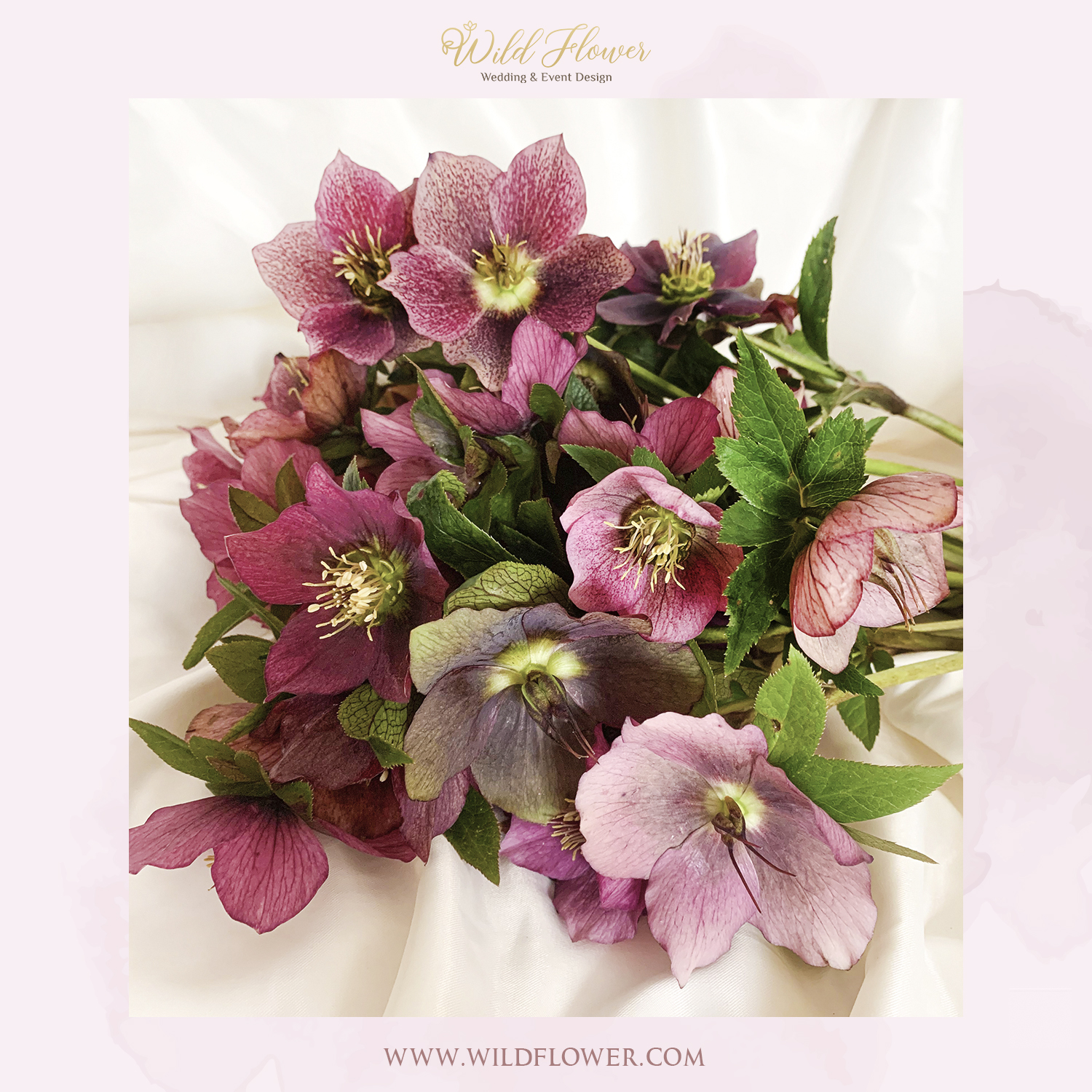 WildFlower Wedding & Event Design