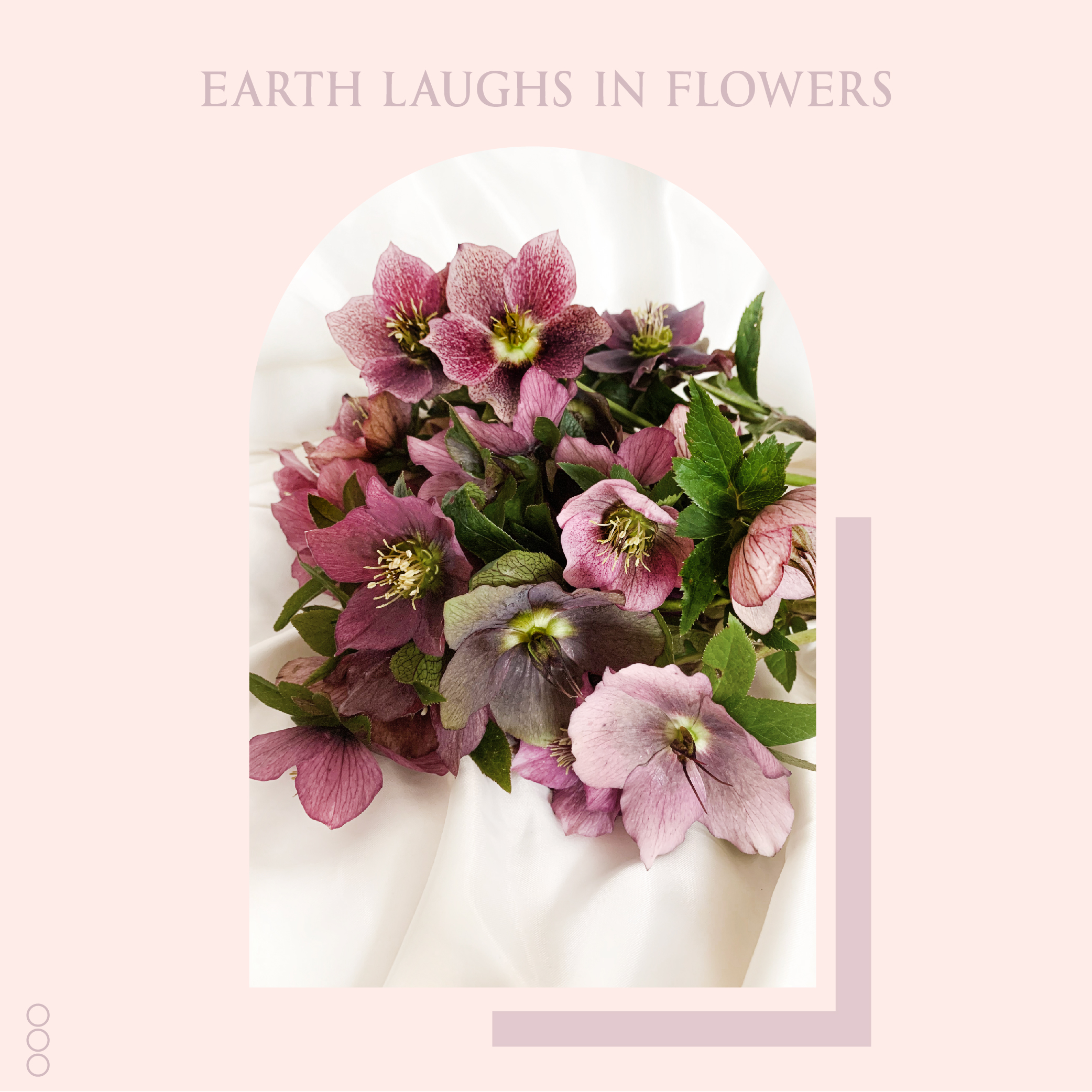 WildFlower Wedding & Event Design
